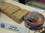bnnp-lampung1111.jpg
