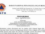 bnpb-cpns-1.jpg