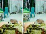 bocah-5-tahun-di-jambi-tewas-digigit-ular-kobra-saat-tidur-keluarga-ini-ujian-berat-bagi-kami.jpg