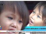 bocah-warna.jpg