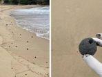 Viral Fenomena Bola-bola Hitam Misterius di Pantai Coogee Gemparkan Warga Sydney