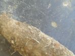 bom-yulianus_20170828_141806.jpg