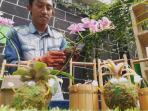 boneka-lumut_20160121_171943.jpg