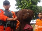 boneka-teddy-bear-diduga-milik-korban-km-sinar-bangun_20180630_112645.jpg