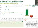 bps-rilis-data-beras.jpg