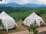 bravo-tenda_20180331_053503.jpg
