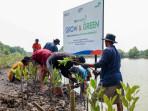 Peringati Hari Mangrove Sedunia, BRI Tanam 10.000 Mangrove di Pesisir Muara Gembong