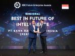 bribrain-bri-idc-2023.jpg