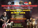 brigade-pitbull_20160524_200608.jpg