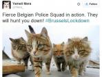 brusselslockdown_20151123_155326.jpg