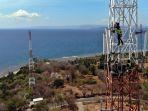 bts-xl-axiata-di-sumbawa.jpg