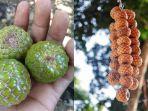 buah-boh-meuria.jpg