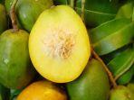 buah-kedondong-dsfg-wr4etyh-3567yu-juj.jpg