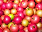 buah-kersen_20150825_232027.jpg