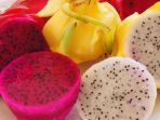 buah-naga_20180310_065901.jpg