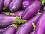 buah-terong3.jpg