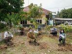 buah1.jpg