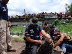 buaya-bsdda.jpg