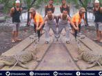 buaya-masuk-pemukiman-di-riau1.jpg