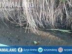 buaya-putih-candi1.jpg