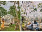 bubble-tent-di-jogja.jpg