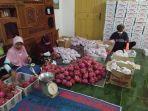 budidaya-buah-naga-organik-di-kabupa.jpg