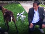 bukan-karena-ada-kambing-atau-rusa-ini-alasan-jokowi-pilih-tinggal-di-istana-bogor_20170623_173552.jpg