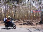 bukit-jomblo-di-tulungagung_20170822_094950.jpg