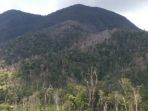 bukit-maras-di-riausilip_20170823_112210.jpg