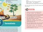 buku-kimia-kelas-11-halaman-135-kurikulum-merdeka.jpg