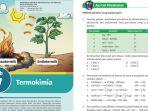 buku-kimia-kelas-11-halaman-151-154-kurikulum-merdeka.jpg