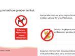buku-tematik-kelas-1-tema-7-halaman-50-51.jpg
