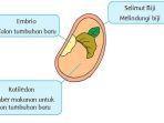 buku-tematik-kelas-3-tema-1-halaman-154.jpg