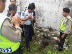 bule-kabur_20170619_123513.jpg