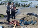 bule-tewas-di-pantai_20161022_104434.jpg
