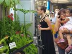 bunga-bangkai-titan-arum_20180918_163216.jpg