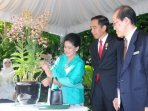 bunga-dendrobium-iriana-jokowi-mekar-di-singapura_20150729_164650.jpg