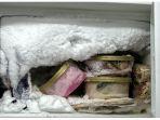 bunga-es-freezer.jpg