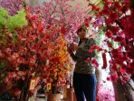 bunga-mei-hwa-sambut-tahun-baru-imlek_20160205_164445.jpg
