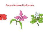 bunga-nasional-indonesia.jpg