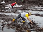 bupati-lingga-alias-wello-ikut-turun-ke-sawah_20180126_111754.jpg
