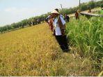 bupati-lumajang-komitmen-lindungi-lahan-pertanian-tetap-menjadi-lahan-pertanian.jpg