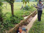 buruh-tewas-terjatuh-dari-pohon.jpg