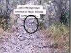 burung-jalak-menuntut-pendaki-gunung-lawu-yang-tersesat.jpg