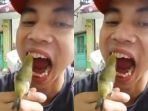burung-membersihkan-karang-gigi_20180523_144240.jpg