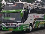 bus-citra-adi-lancar.jpg