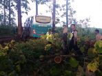 bus-garuda-mas-tersesat-di-tengah-hutan-jati_20170313_170432.jpg