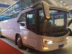 bus-hino-rn-285-karoseri-tentrem.jpg