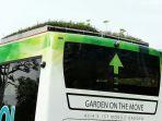 bus-pakai-atap-hijau-menurunkan-suhu-dalam-bus-tanaman.jpg
