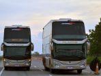 Promo Tiket Bus Trans Jawa Cuma Rp 50 Ribu, Lihat Jadwal dan Rute Keberangkatannya